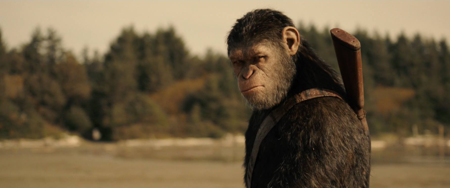 War for the Planet of the Apes