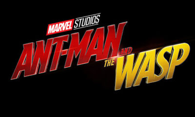 Ant-Man and the Wasp, Ant-Man & the Wasp