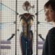 Ant-Man and the Wasp, Avengers 4
