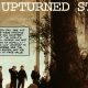 The Upturned Stone