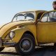 Bumblebee