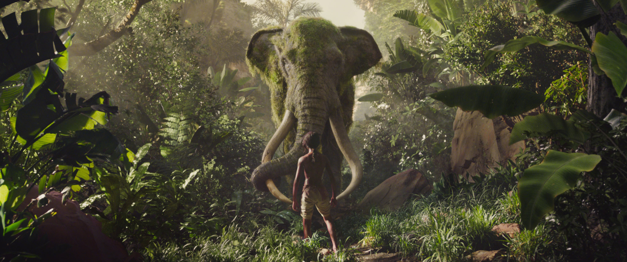 Mowgli