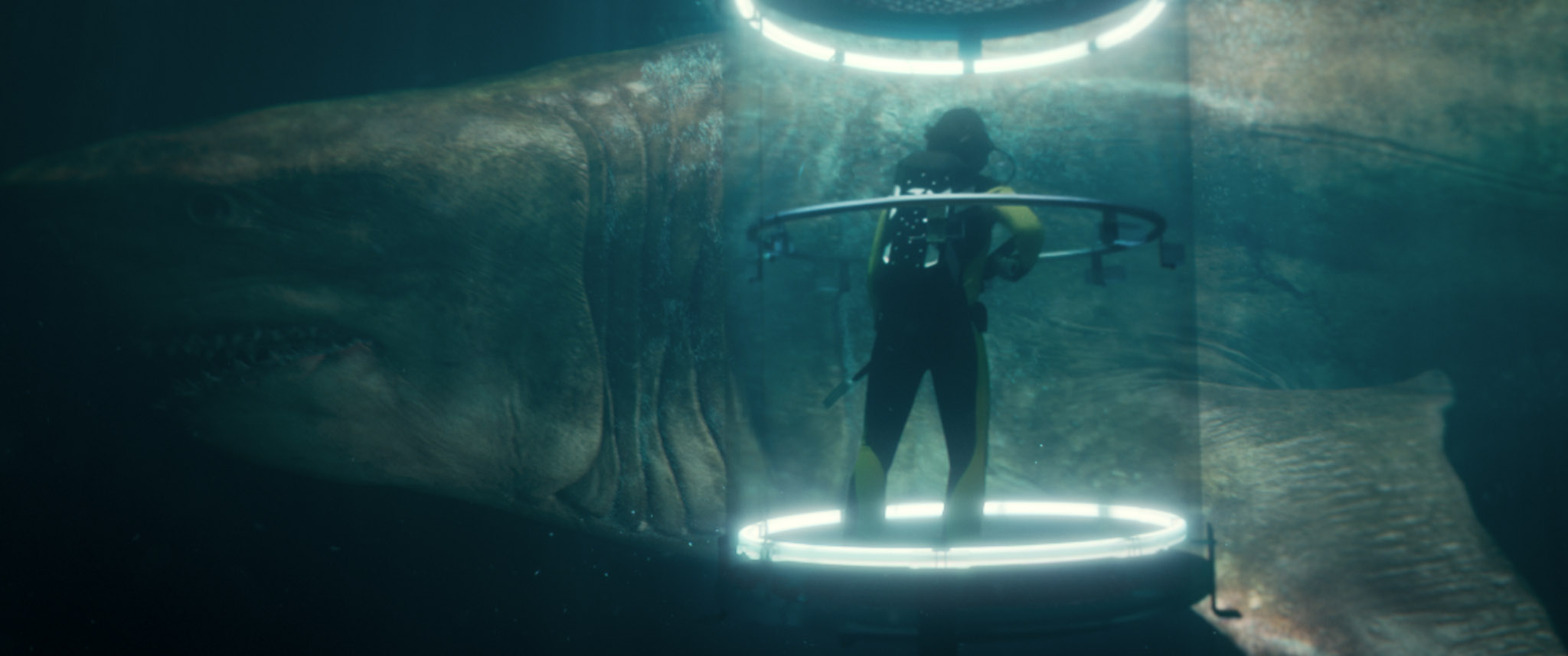 The Meg