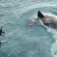 The Meg