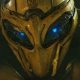 Bumblebee