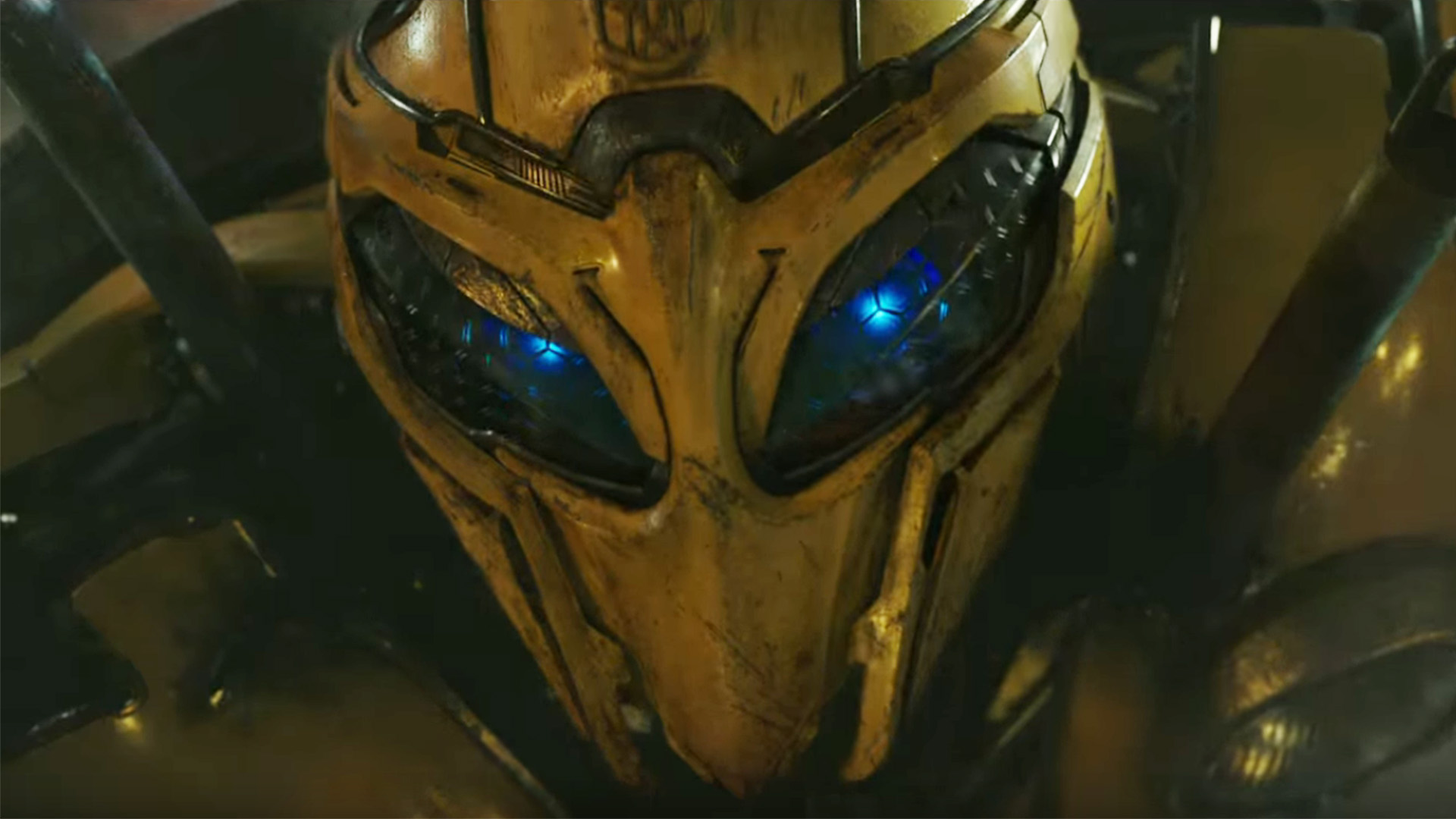 Bumblebee