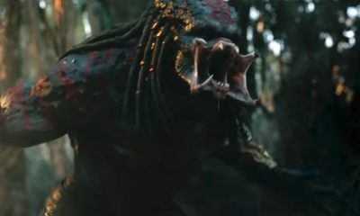 The Predator