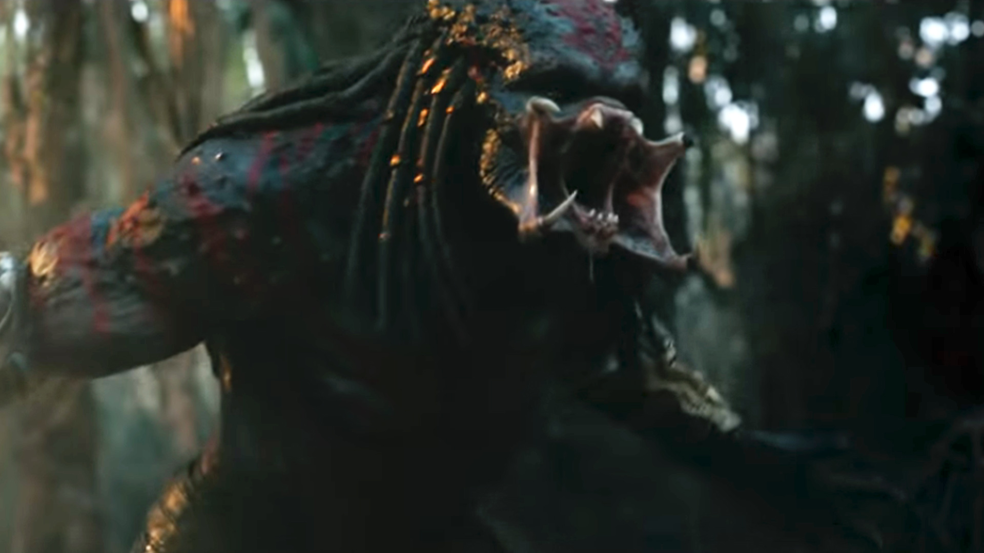 The Predator