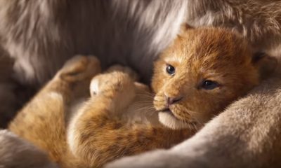 The Lion King