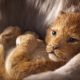 The Lion King
