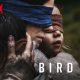 Bird Box