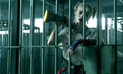Birds of Prey