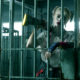Birds of Prey