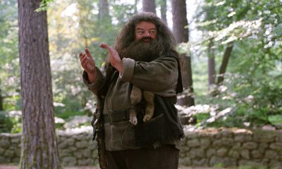 Harry Potter, Hagrid