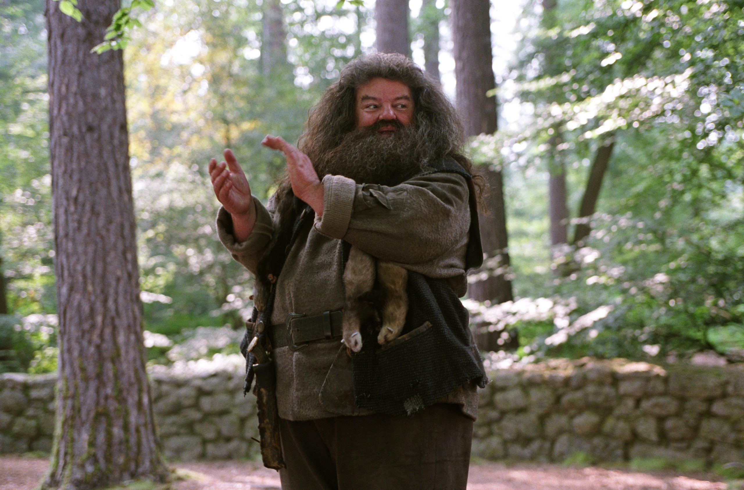 Harry Potter, Hagrid