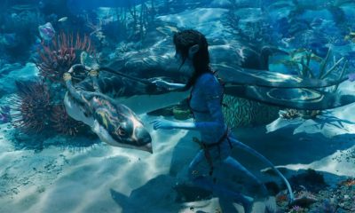 Avatar 2, Metkayina, Avatar: The Way of the water