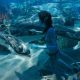 Avatar 2, Metkayina, Avatar: The Way of the water