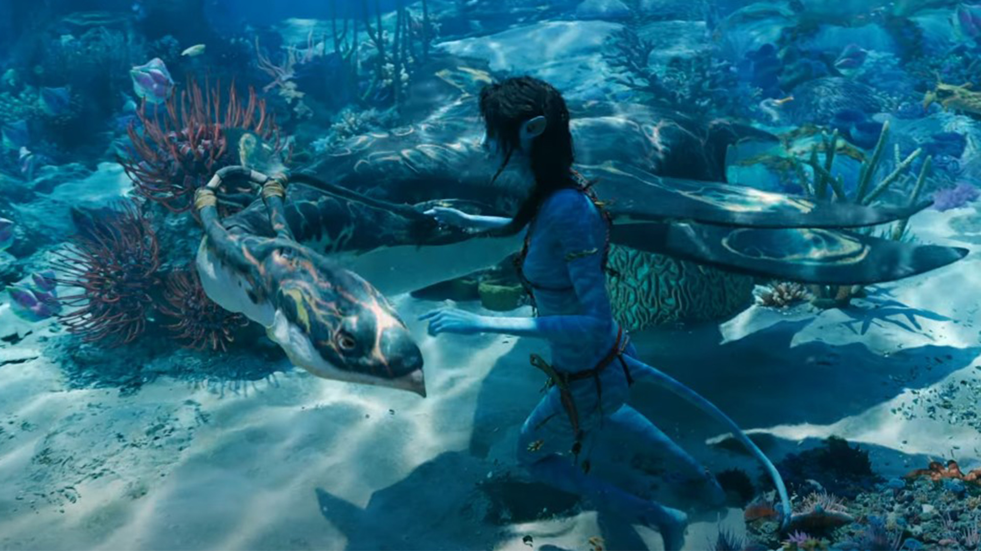 Avatar 2, Metkayina, Avatar: The Way of the water
