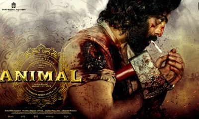 Ranbir Kapoor, Animal, Bollywood