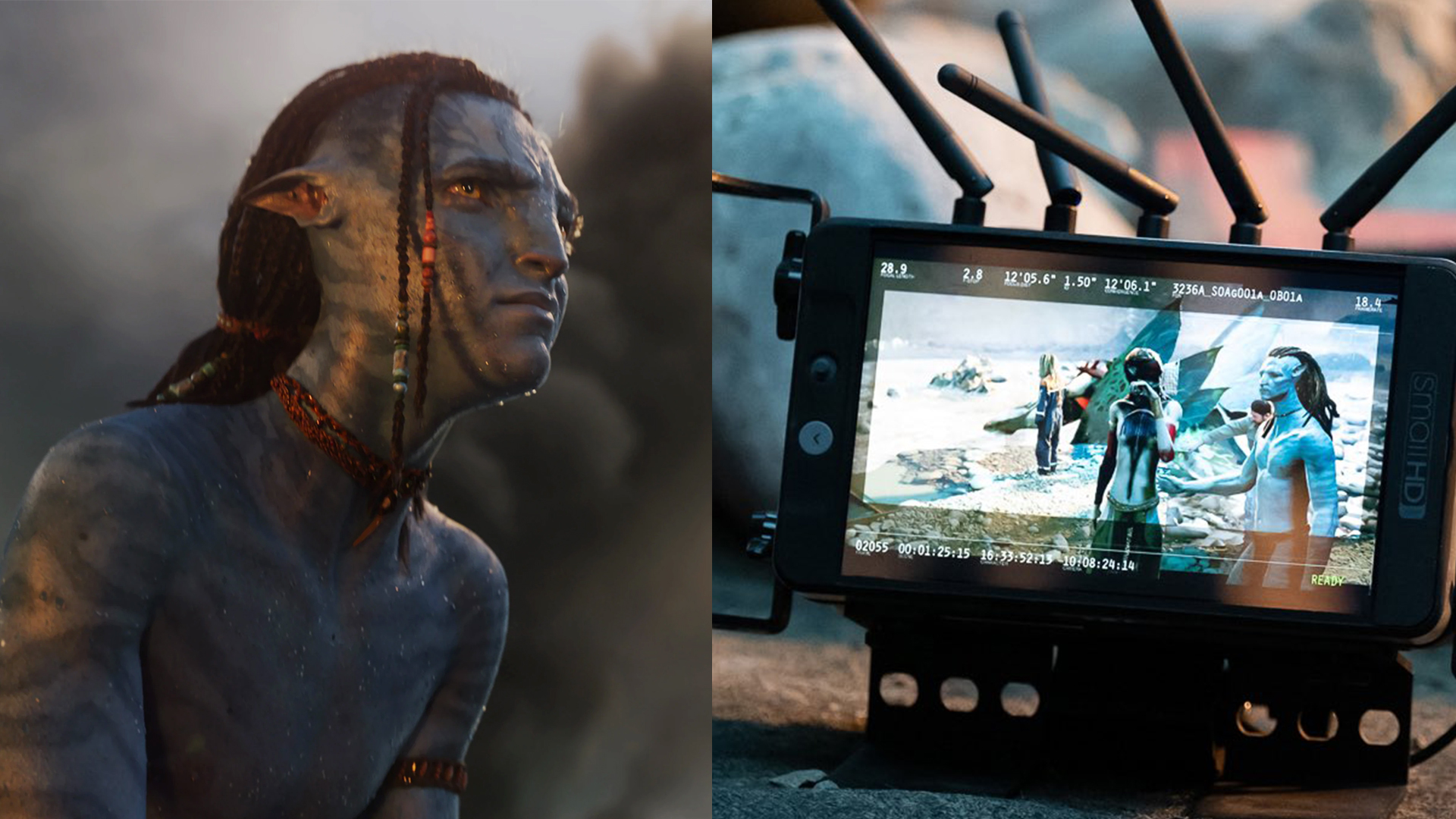 Avatar 5, Avatar 3, Sonic 3, Sonic the Hedgehog, James Cameron