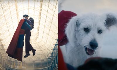 Superman, Krypto the dog, Mister Terrific, Guy Gardner